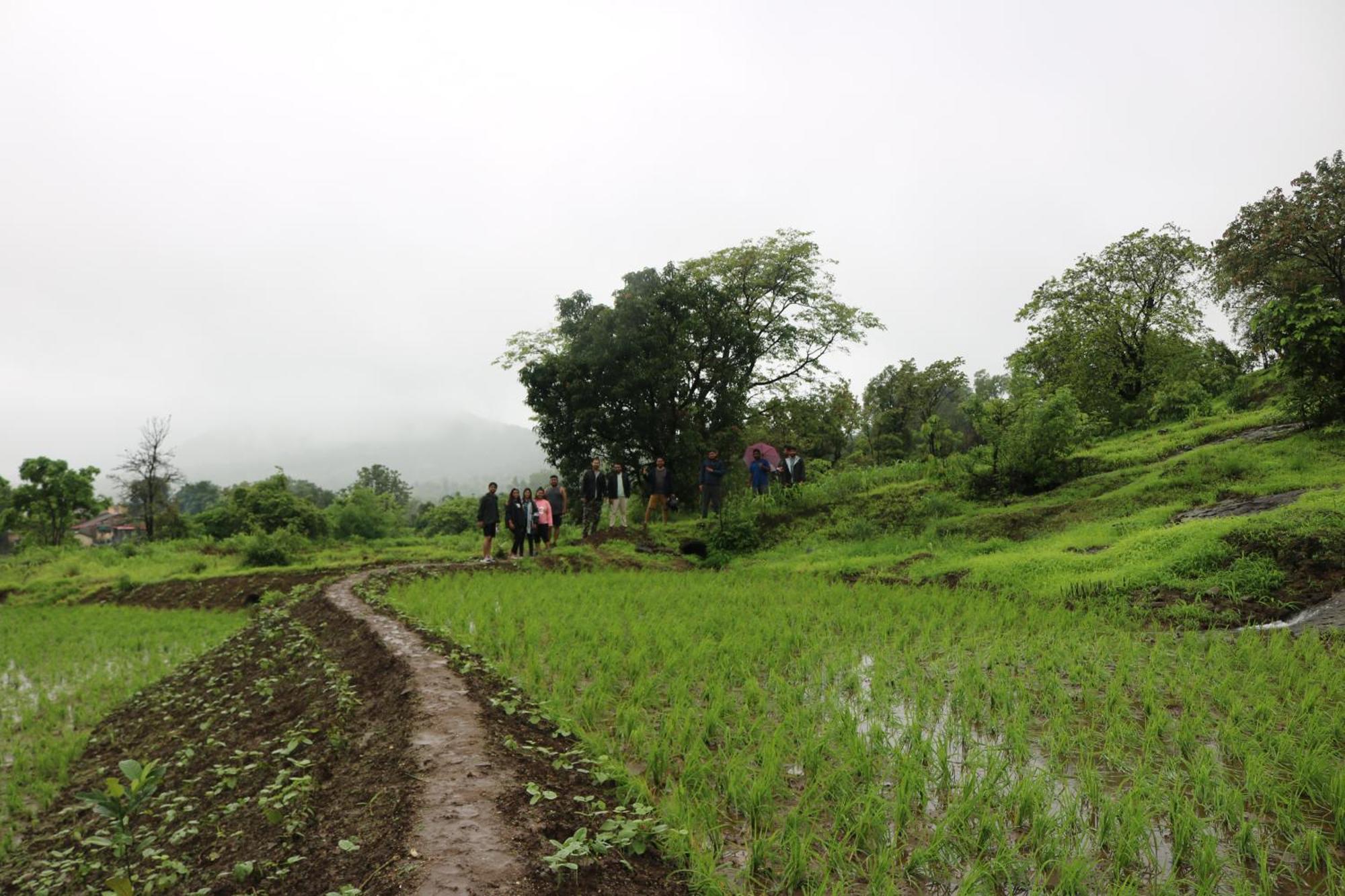 Farm stay Shinde's Tikona Valley Farm Pune