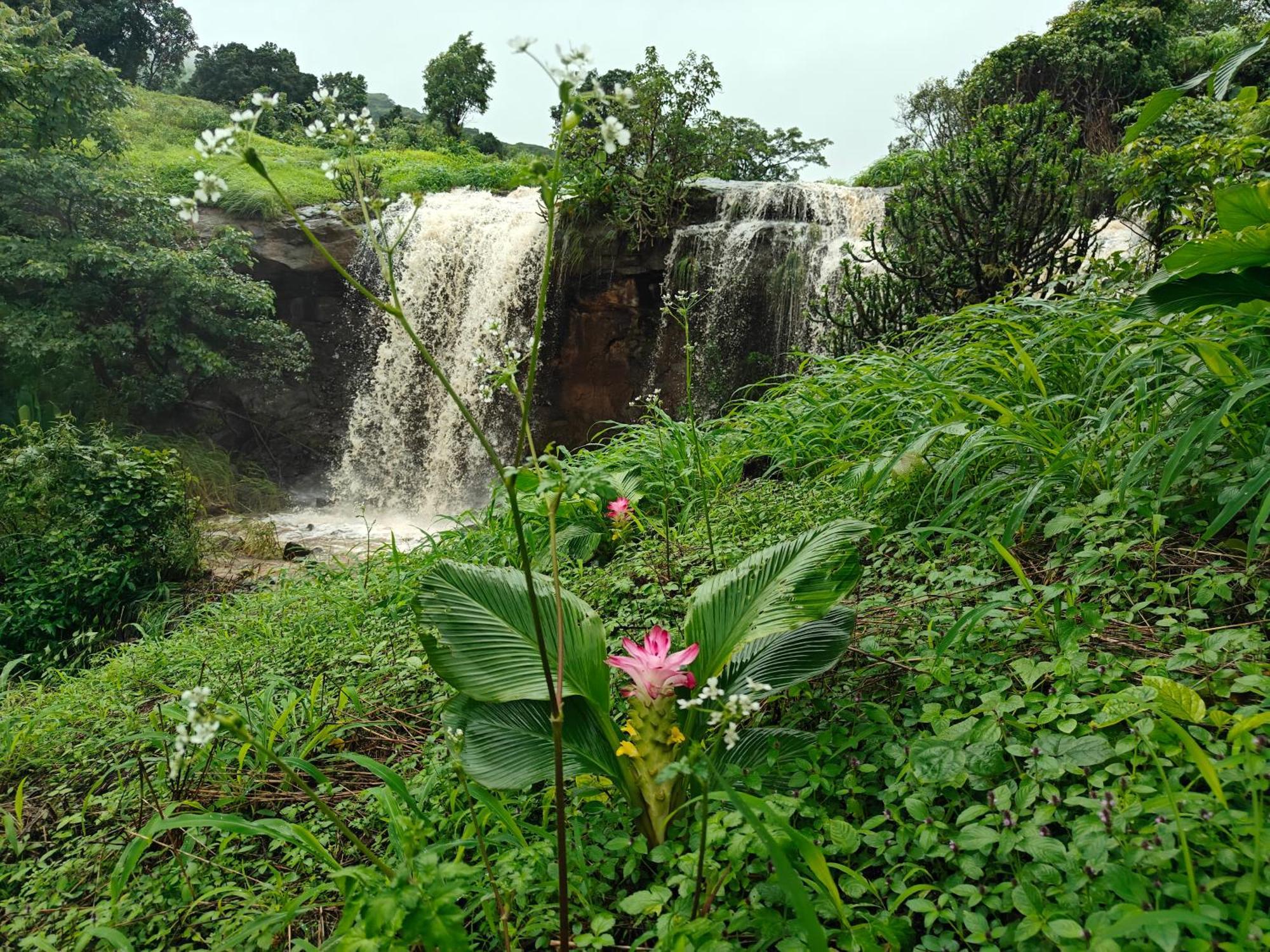 Shinde's Tikona Valley Farm Farm stay Pune