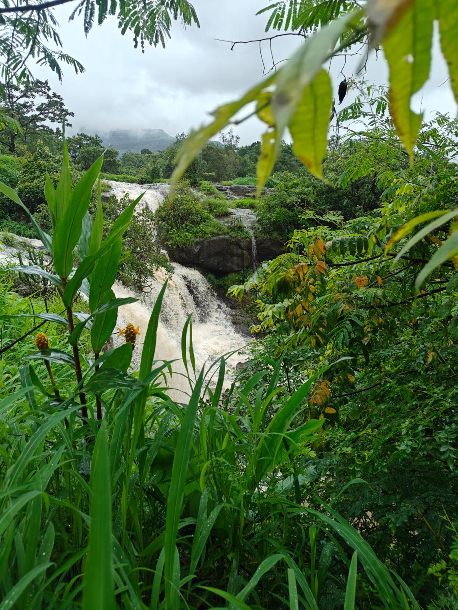 Shinde's Tikona Valley Farm * Pune