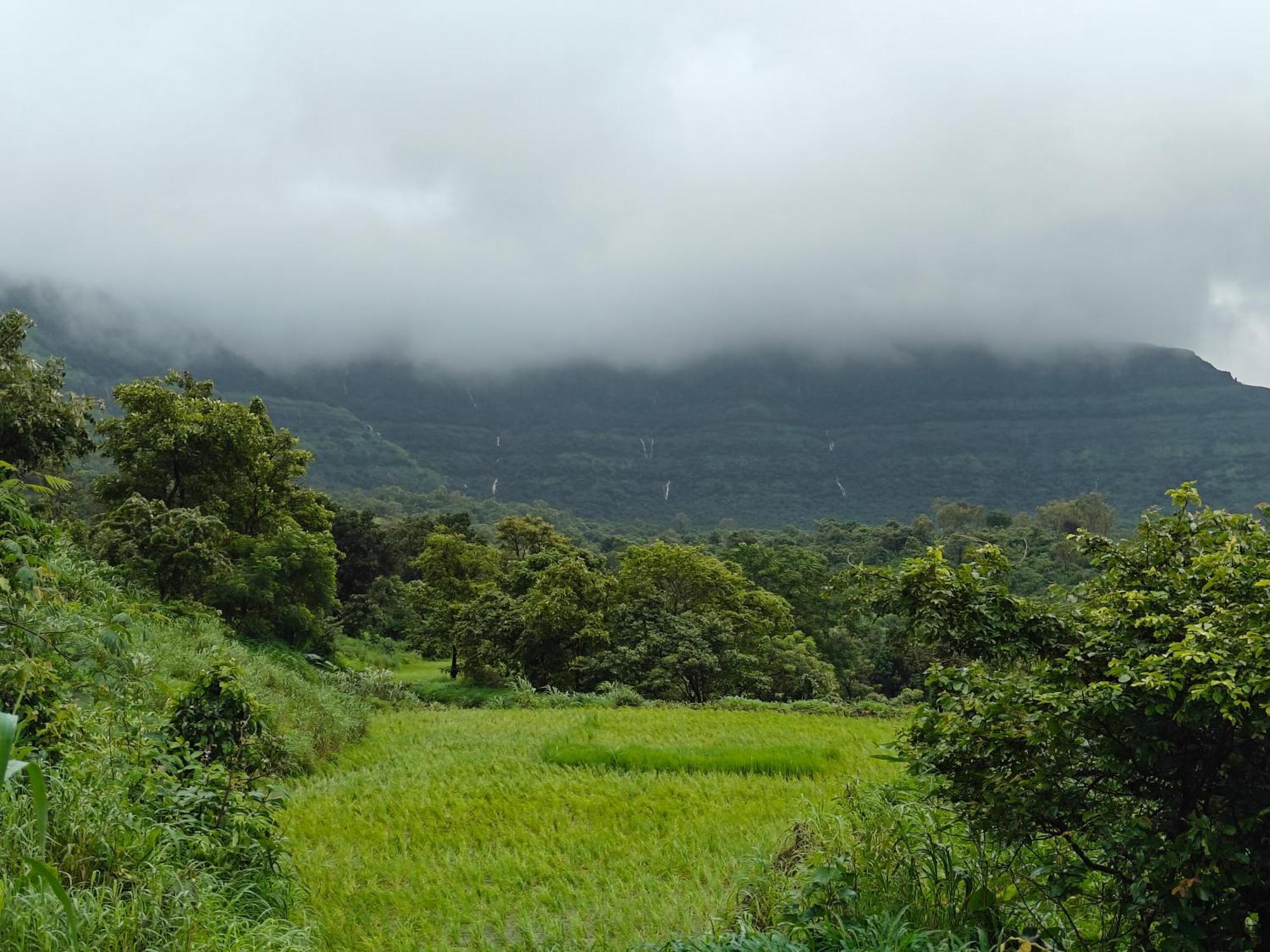 Shinde's Tikona Valley Farm Farm stay *